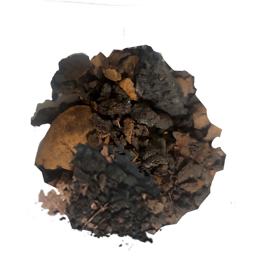 Μαύρο Καρύδι (Black Walnut) – Φλοιός